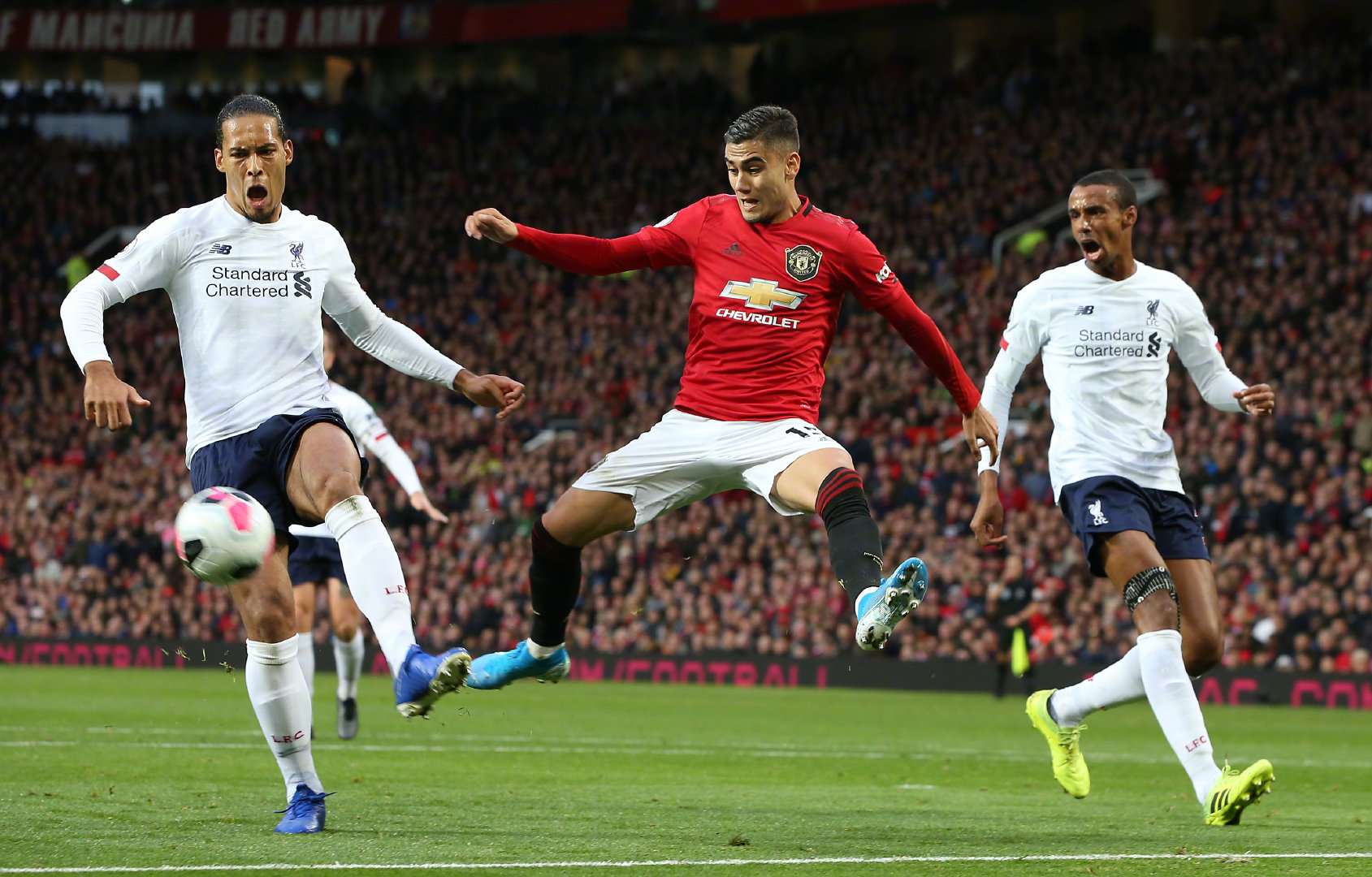 球迷的高度 球迷的高度